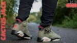 Jordan Retro 6 Jack Cactus