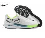 Nike Zoom Guide 10 Running Shoes